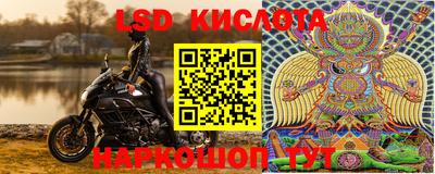 стафф Обнинск