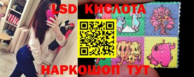 ECSTASY Обь