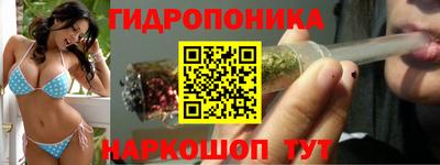 стаф Новокубанск
