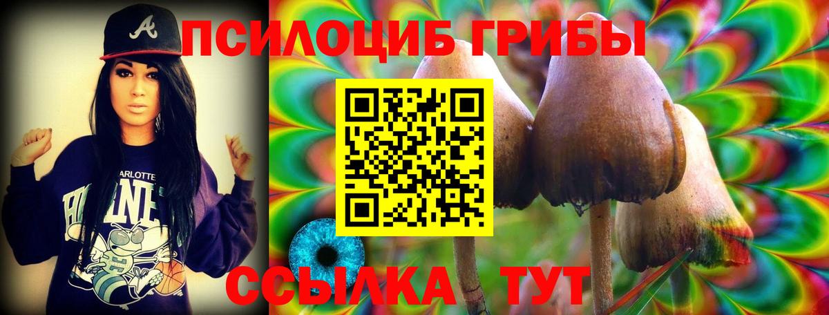 где продают   Вход с VPN  Северск  Галлюциногенные грибы GOLDEN TEACHER  Галлюциногенные грибы Psilocybe 